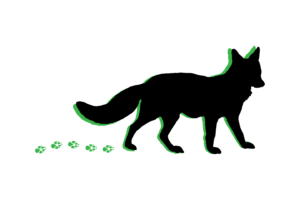 Foxtrail icon Fuchs Schwarze